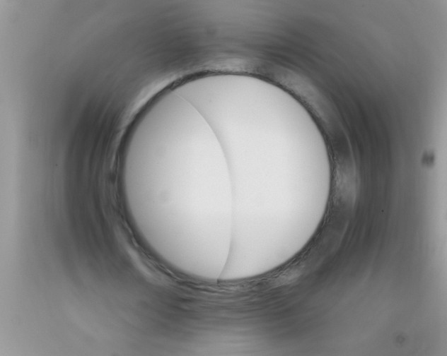 X0000091340674200709071219