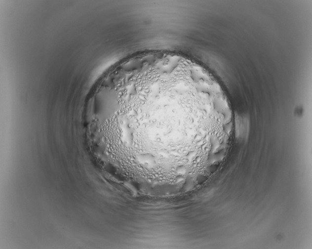 X0000091340675200709071219