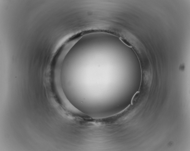 X0000091340676200709071219