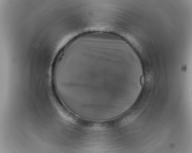 X0000091340678200709071218