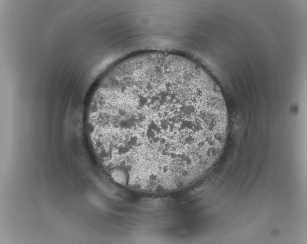 X0000091340679200709071218