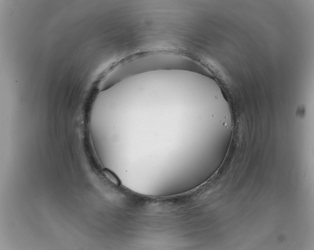 X0000091340680200709071218