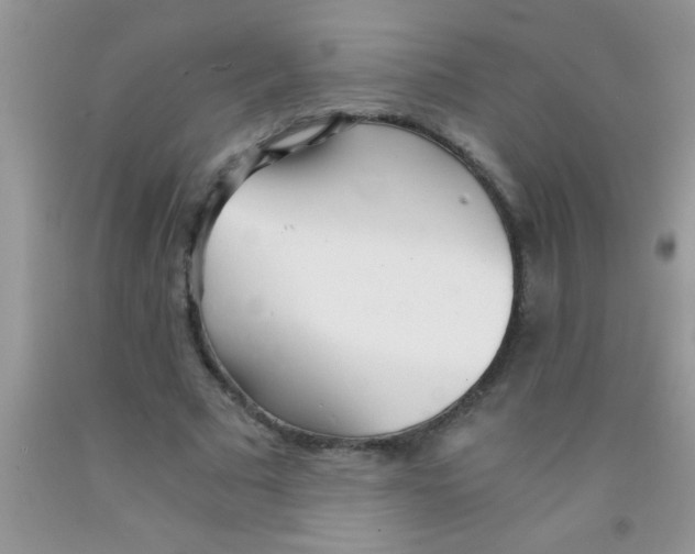 X0000091340681200709071218