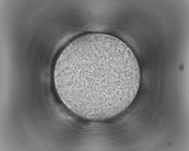 X0000091340682200709071218