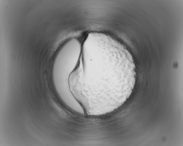 X0000091340683200709071218