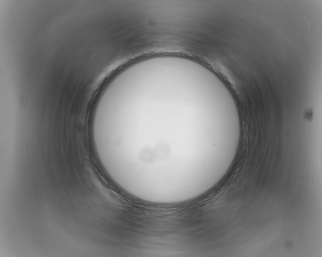 X0000091340684200709071218