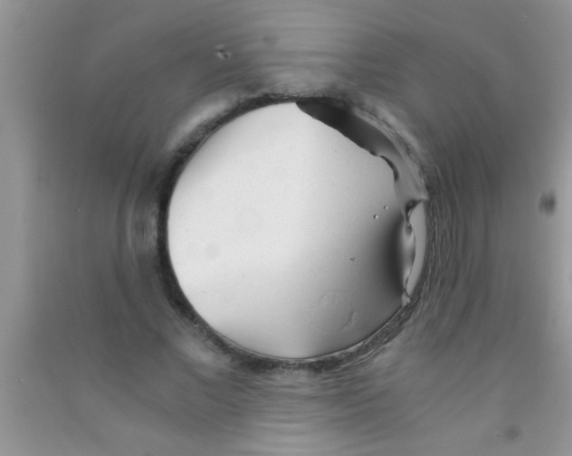 X0000091340685200709071218