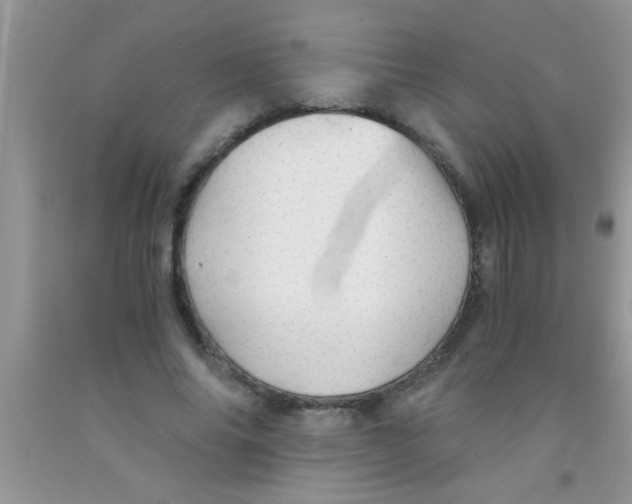 X0000091340686200709071218