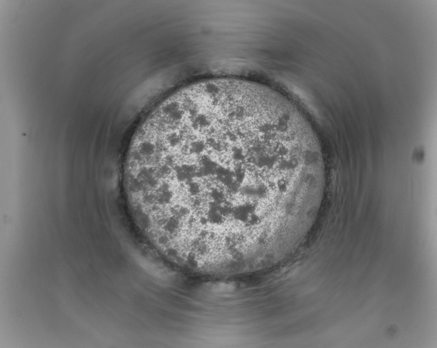 X0000091340687200709071218