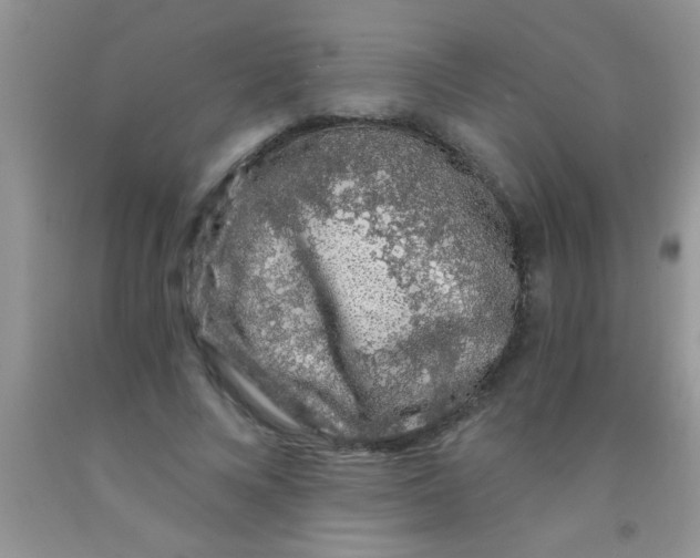 X0000091340688200709071218