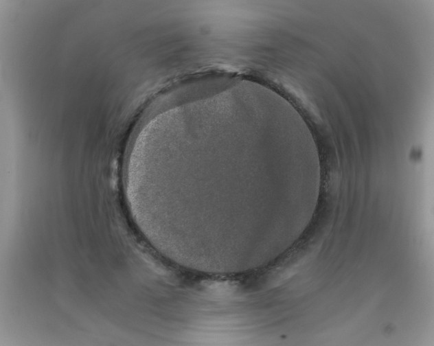 X0000091340689200709071218