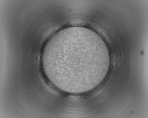 X0000091340690200709071218