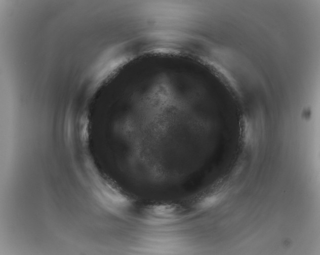 X0000091340692200709071218