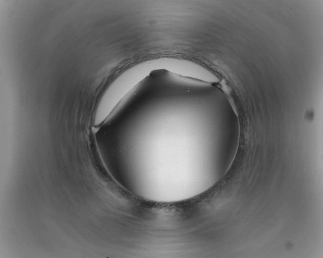 X0000091340693200709071218