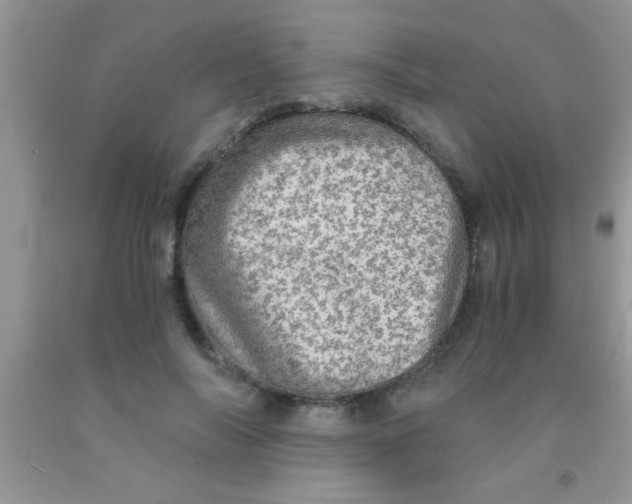 X0000091340694200709071218