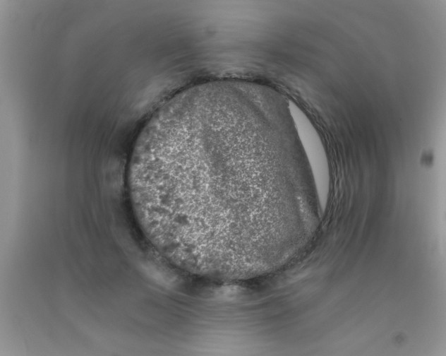 X0000091340695200709071218