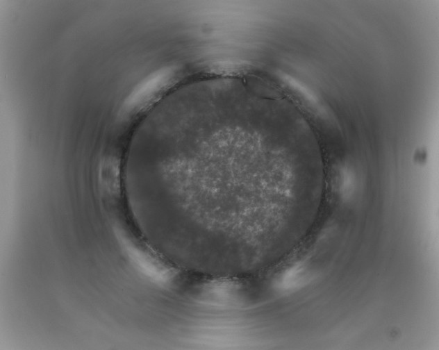 X0000091340696200709071218