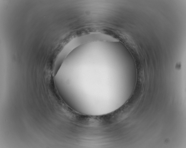 X0000091340697200709071218