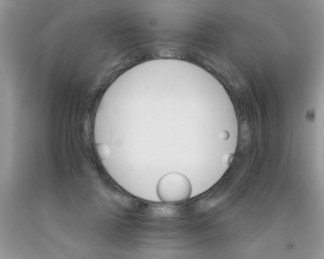 X0000091340698200709071218