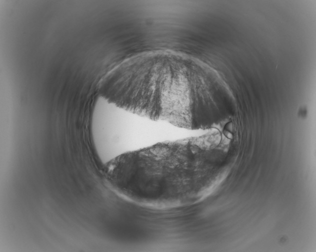 X0000091340699200709071218