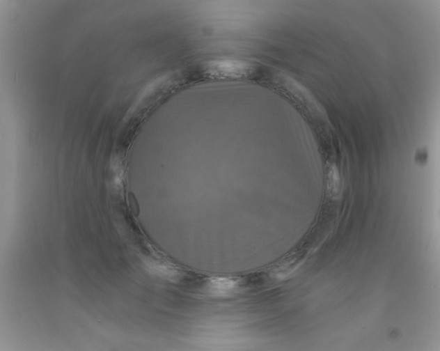 X0000091340701200709071218