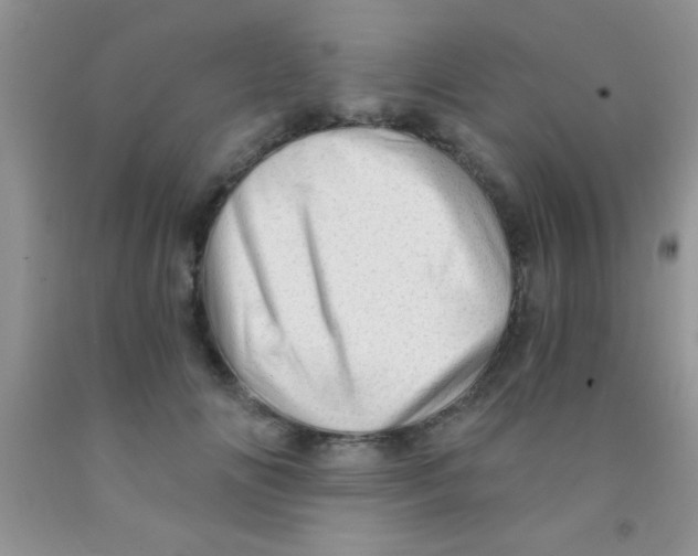 X0000091340702200709071218