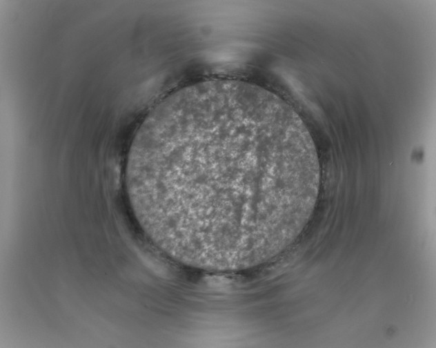 X0000091340703200709071218