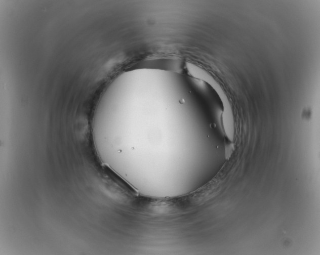 X0000091340704200709071218