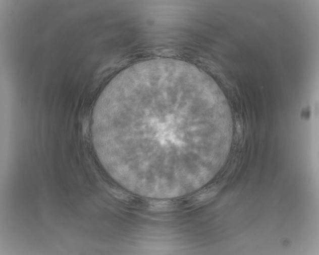 X0000091340705200709071218