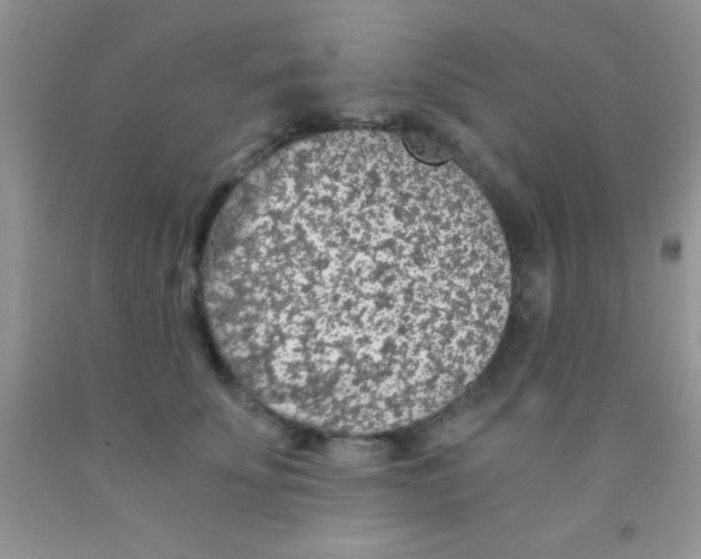 X0000091340707200709071218