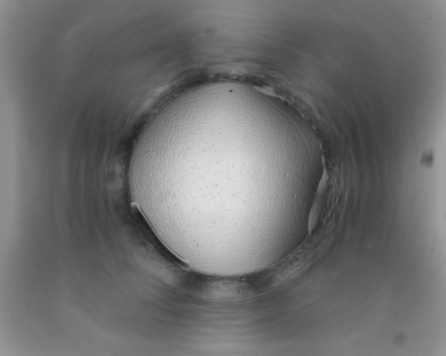 X0000091340708200709071218