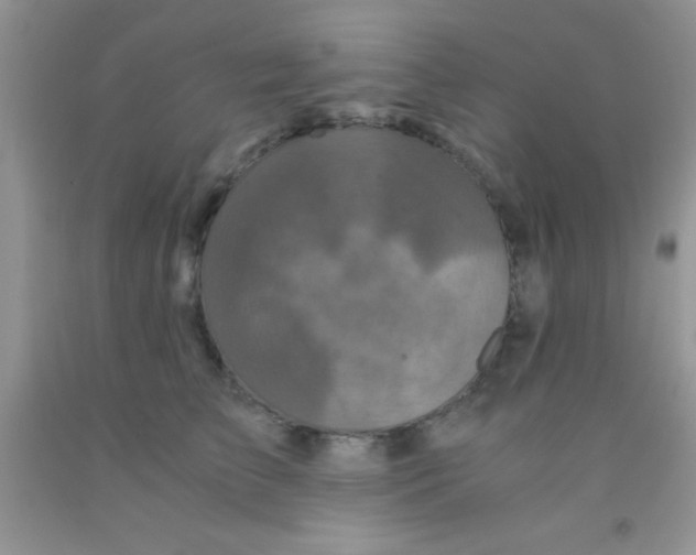 X0000091340709200709071218