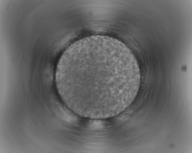 X0000091340710200709071218