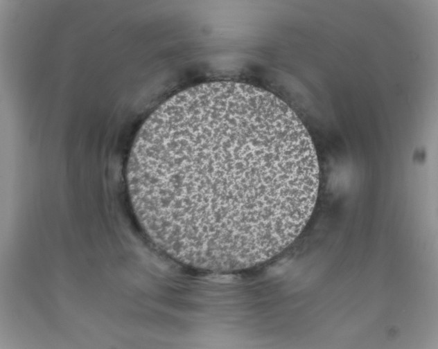 X0000091340711200709071218