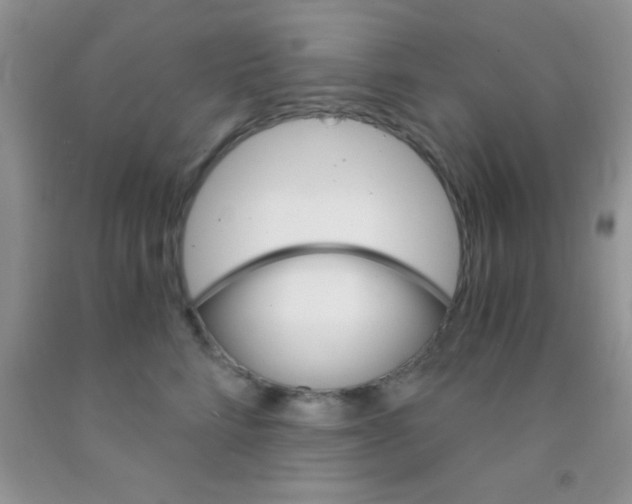 X0000091340712200709071218