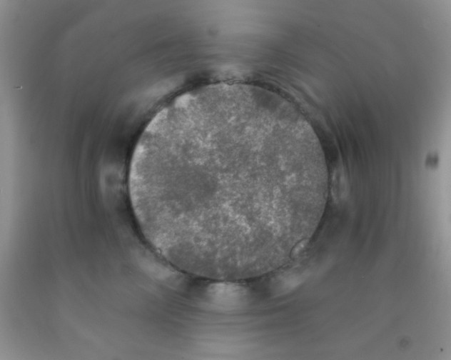 X0000091340714200709071218