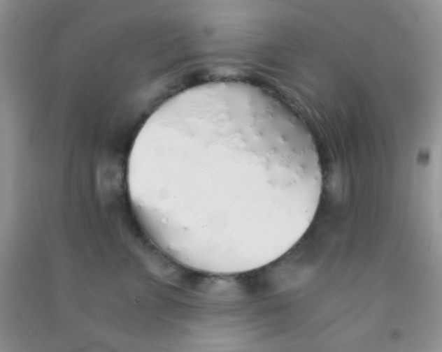 X0000091340715200709071218