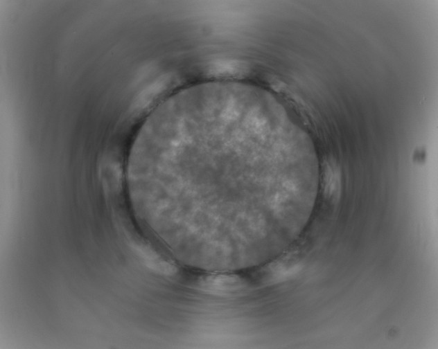 X0000091340716200709071218