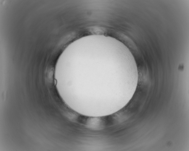 X0000091340717200709071218