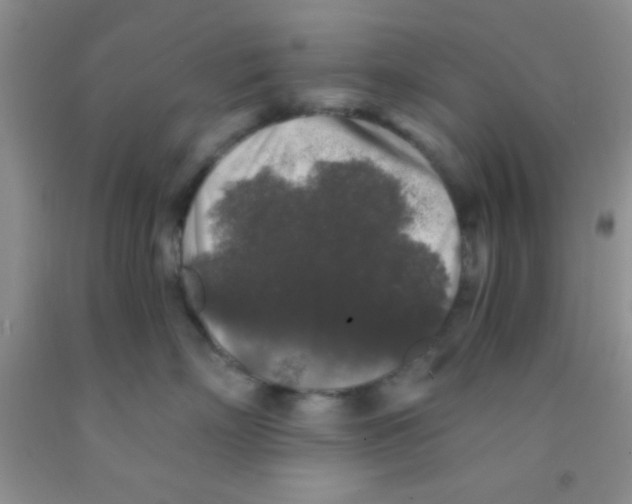 X0000091340718200709071218