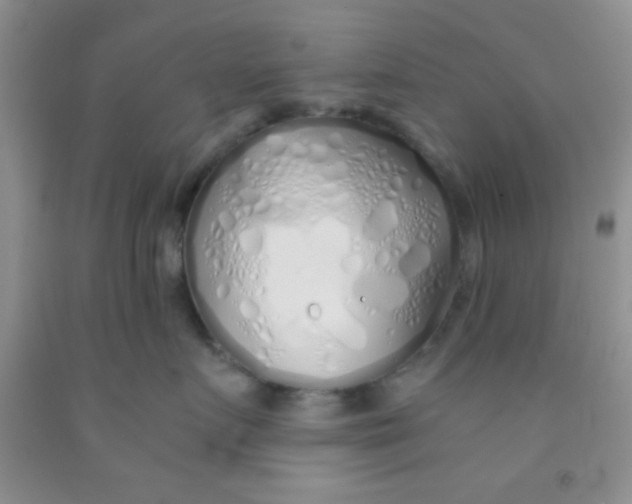 X0000091340719200709071218