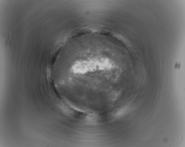 X0000091340720200709071218