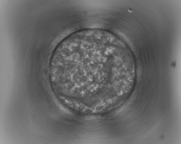 X0000091340721200709071217