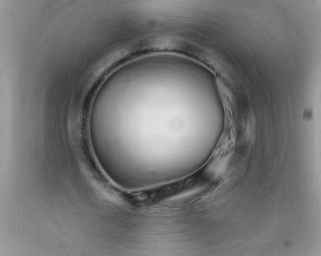 X0000091340722200709071217