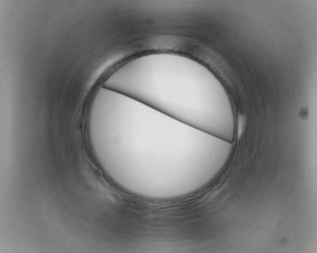 X0000091340723200709071217