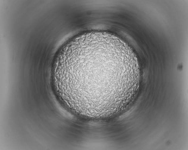 X0000091340725200709071217