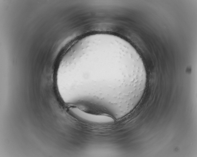 X0000091340727200709071217