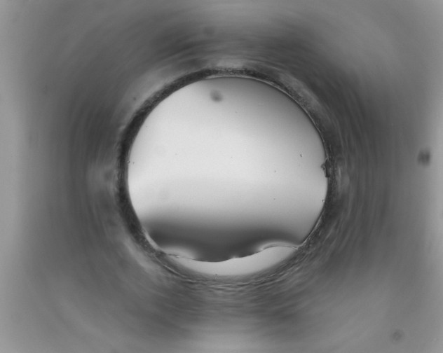 X0000091340728200709071217