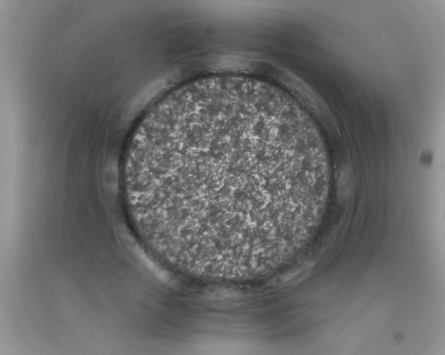 X0000091340729200709071217