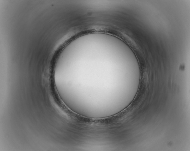 X0000091340730200709071217